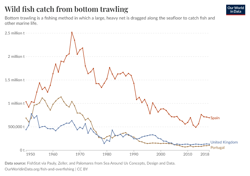Wild fish catch from bottom trawling