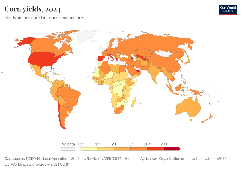 A thumbnail of the "Corn yields" chart